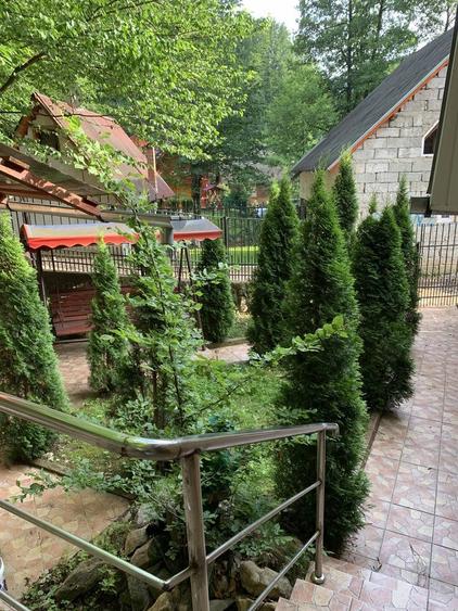 Casa Padurea Neagra - 3