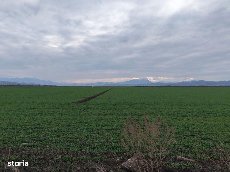 Teren de vanzare 20.000mp Ghimbav, langa Parcul Industrial - 2