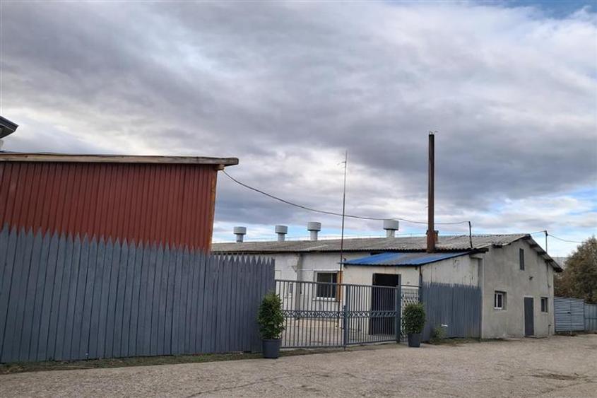 Hala industriala versatila,spatii cazare, platforma betonata,Halchiu,Brasov - 3