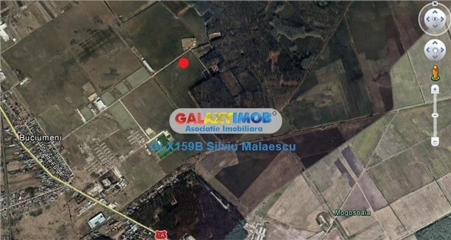 Buftea 8.601 Mp str. Aviatiei - 1