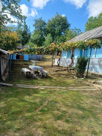 Casa batraneasca +teren 3000 mp la doar 18 km de Oras ! - 5