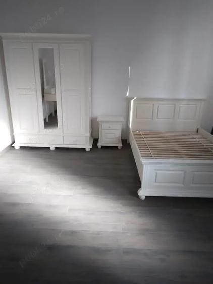 Inchiriez Cladire ( Spatiu Comercial si Casa de Locuit ) - 7