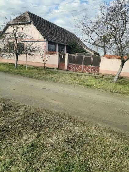 Casa de vanzare secusigiu - 3