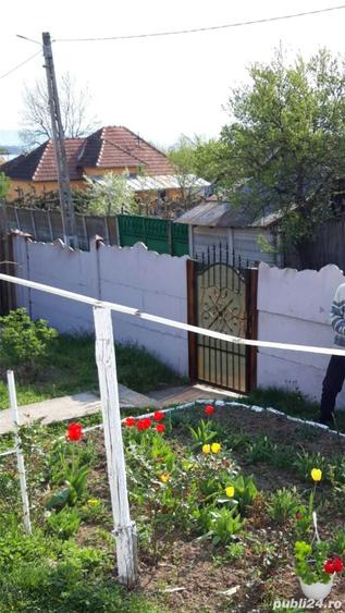 Vand casa batraneasca cu mult teren sat Tarsa, com Stangaceaua, judetul Mehedinti - 2