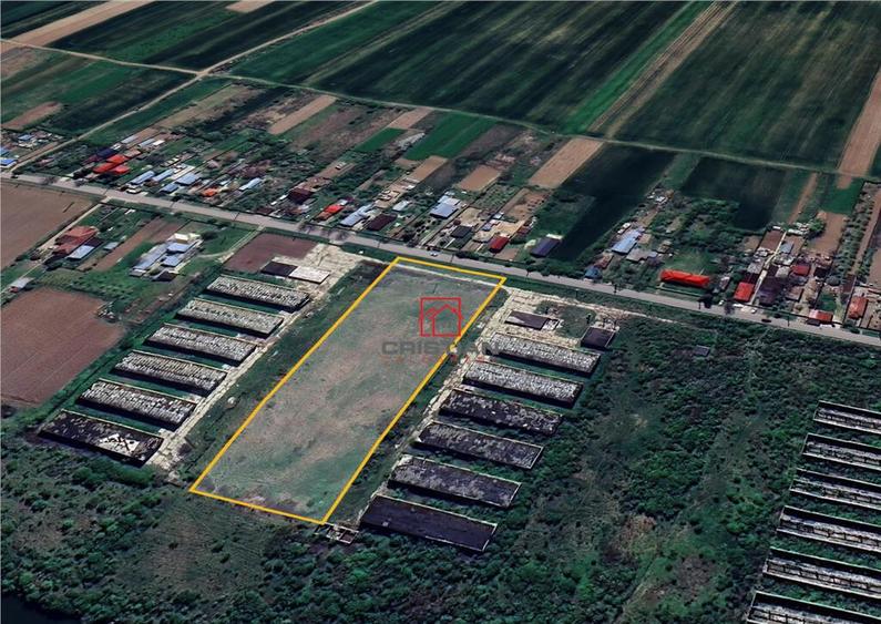 Teren intravilan Crevedia - Butimanu - DN1 A, Dambovita - 4