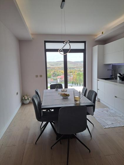 VILA NOUA,MODERNA CU 2100 METRI PATRATI TEREN-VIISOARA - 4