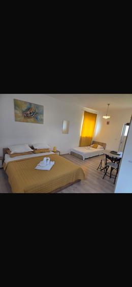 Pensiune 3 stele - Schitu-Costinesti - 215.000 euro (Cod E2) - 8