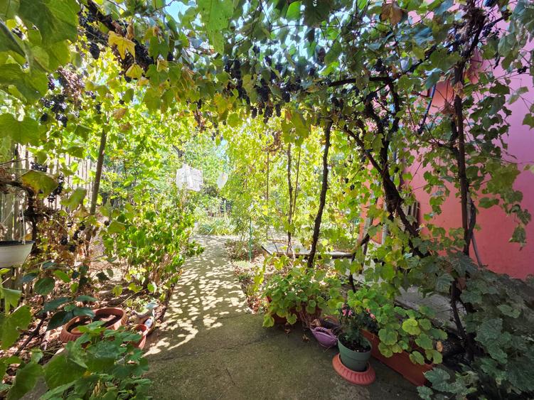 Crangasi, Lacul Morii, casa individuala 230 mp utili, 510 mp teren - 33