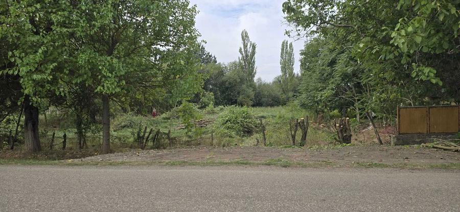 PROPRIETAR VAND 2 TERENURI intravilane - loc. CALACEA, Timis - 2