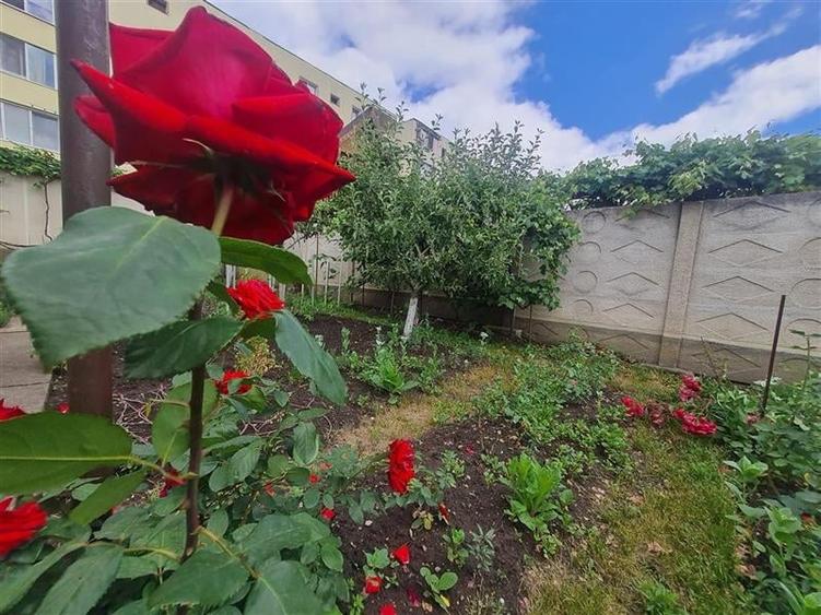 LIVE! Casa cu vatra traditionala, curte si gradina garaj, facilitati, Codlea, Br - 18