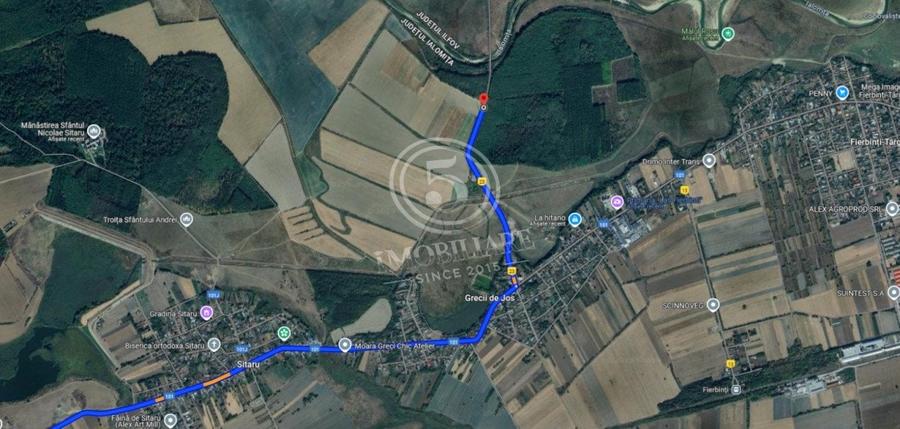 Pădure de vânzare - Pădurea lui Bolete, Fierbinți-Târg - 4