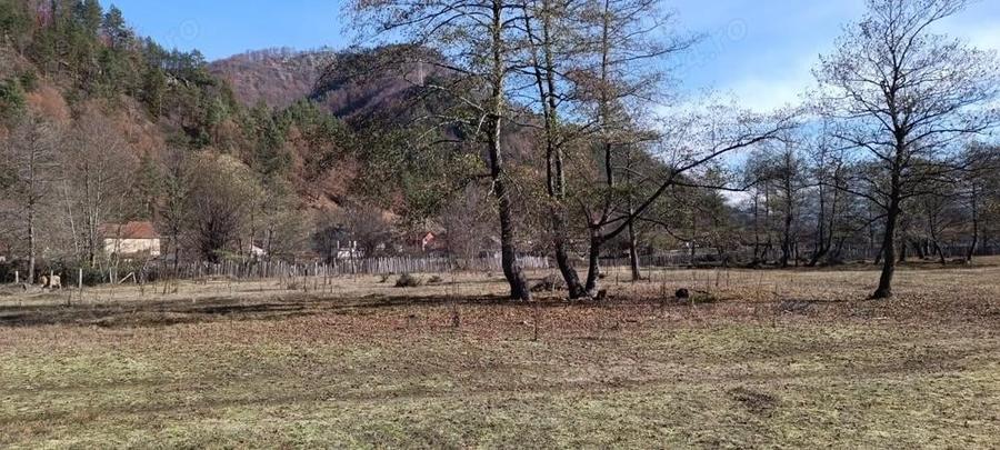 Vand teren intravilan Brezoi - 8