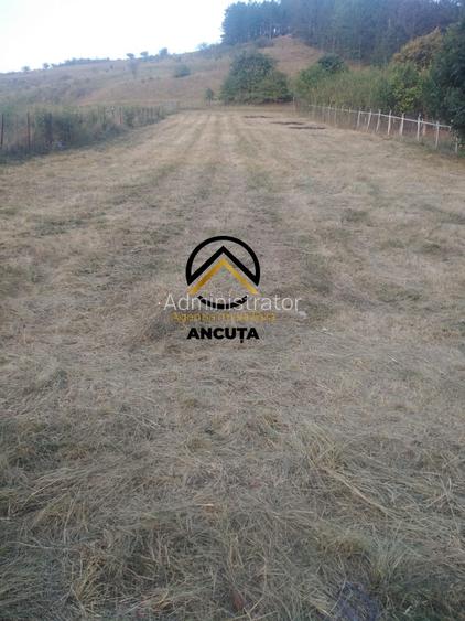 Teren Construcții intravilan de 1225 mp, în Gârbău
