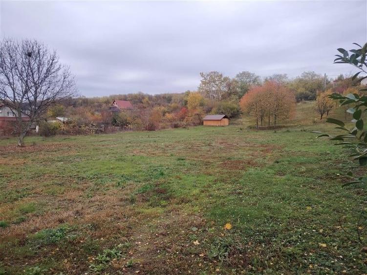 Teren parcelabil, in zona curata si linistita, la 10 minute de Ploiesti - 2