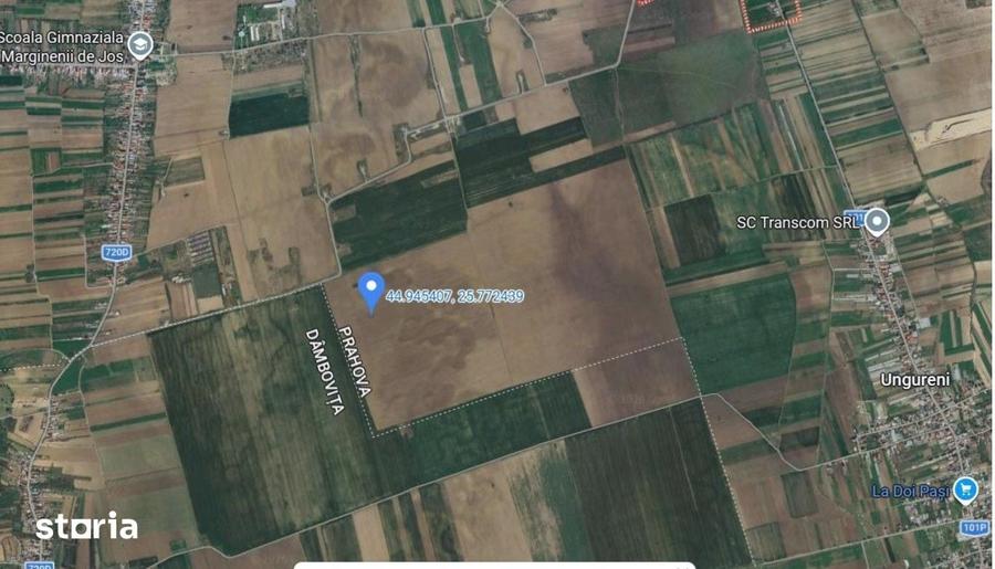 Teren de 5000 mp, în Filipeștii de Târg