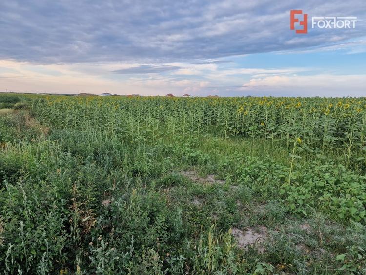 Teren Construcții intravilan de 2100 mp, în Remetea Mare