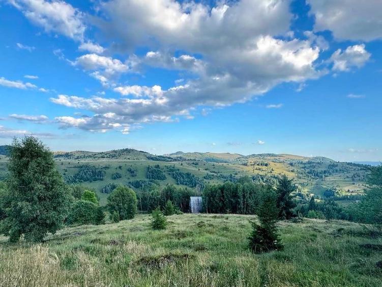 Teren de 1000 mp, în Muntele Băișorii