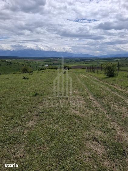 Teren de 11500 mp, în Roșia