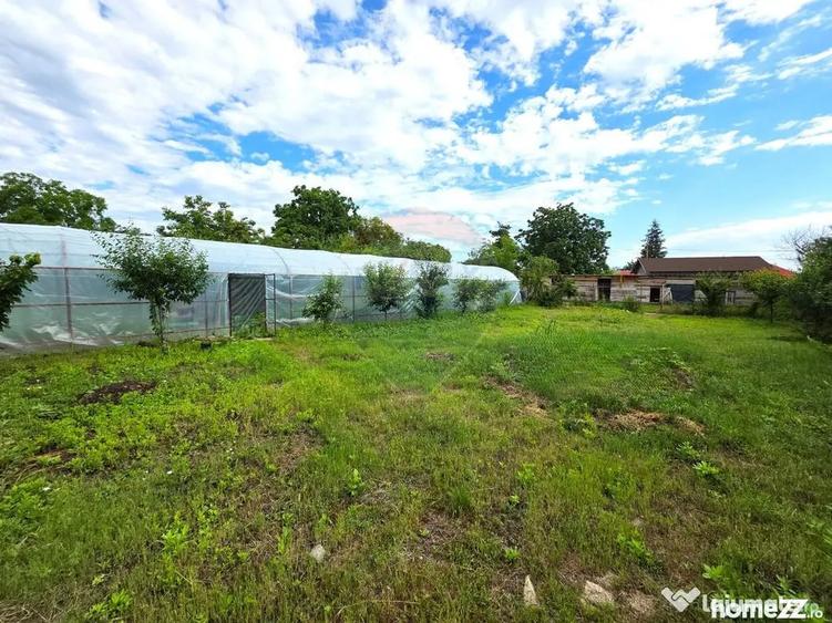 Casă cu 7 camere cu Teren 3200 Mp în Lipia