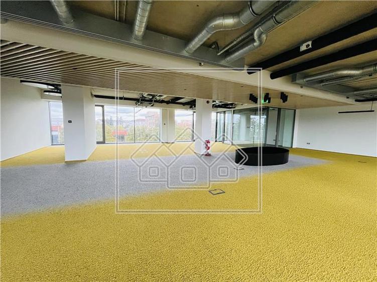 Birou, de 2,051 mp, în Terezian