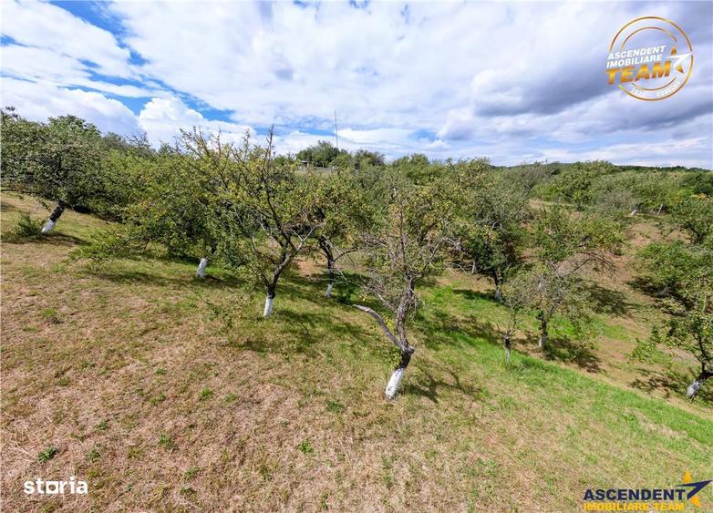 Teren de 4500 mp, în Ilieni