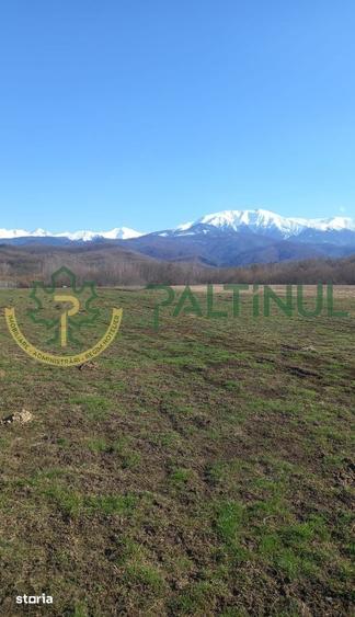 Teren de 1737 mp, în Chirpăr
