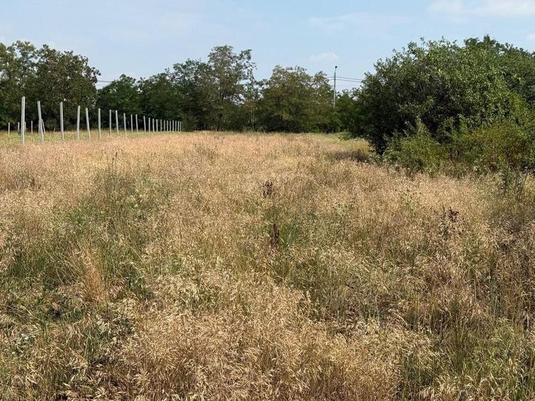 Teren Construcții intravilan de 1203 mp, în Miersig