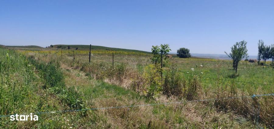 Oportunitate investitie! Teren la 17 km de Cluj | Aiton zona Trovantla - 4