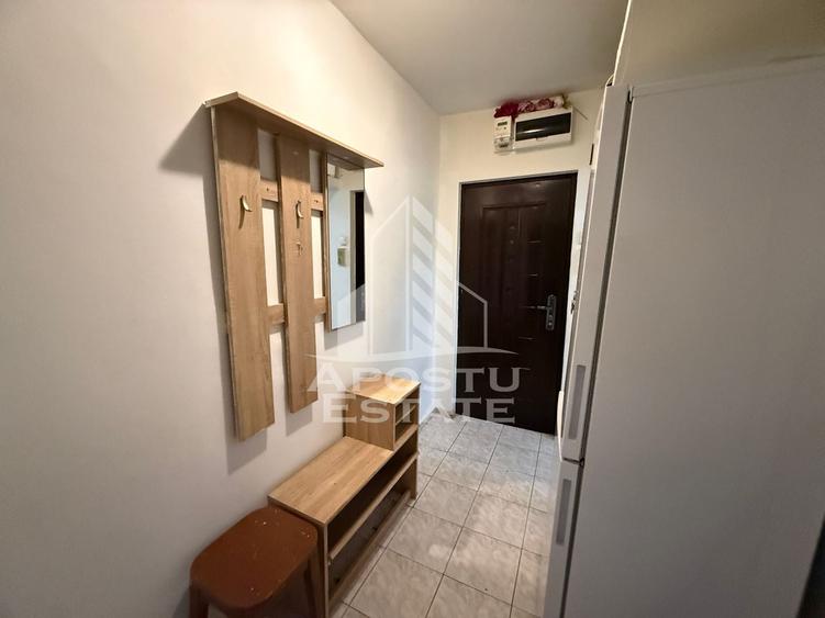 Apartament cu 2 camere semidecomandat, mobilat în Șagului