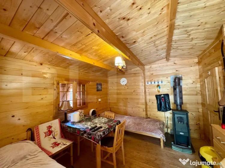 Cabane de vanzare, cu 3 camere, 50 mp, zona Brad - 1