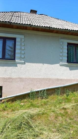 Gospodărie completă + anexe și teren 1,5 ha Năsăud - 4