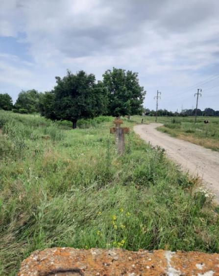 Teren extravilan de vanzare, 4900 mp, Bolde?ti Scaieni - 5