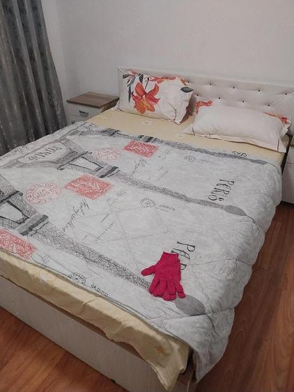 apt 2 camere Gorjului - 3