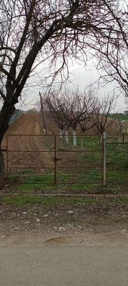 Vand teren intravilan + extravilan 3350 mp - 3