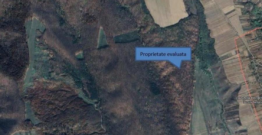 Teren extravilan padure, cota parte de 1/48 Horgesti, ID:... - 3