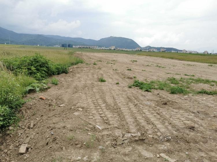 Teren pentru hale si depozite Timisul sec- Uzina 2 front la ocolitoare - 4