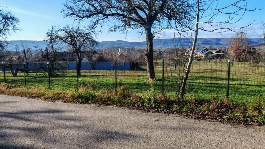 Teren de vanzare – 2.550 mp, pozitie excelenta, Stalpeni (zona centrala), jud AG - 3