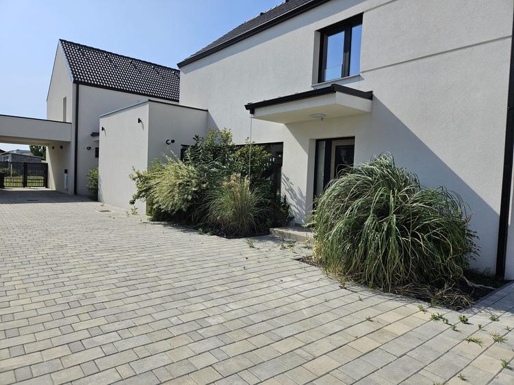 Monarch Soleil  - parchet , usi interioare, tamplarie din lemn natural - 3