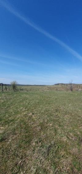 Herneacova-Loc de casa-vedere la lac- 980 mp/1074mp - 6