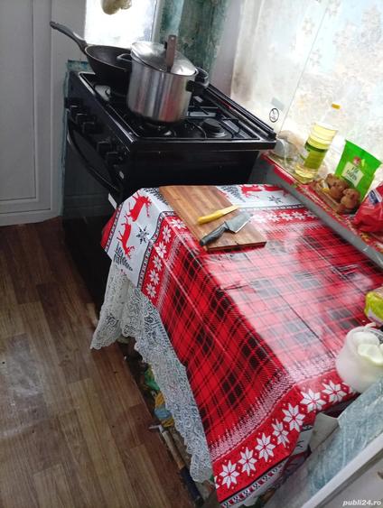 Vand casa la ?ara - 10