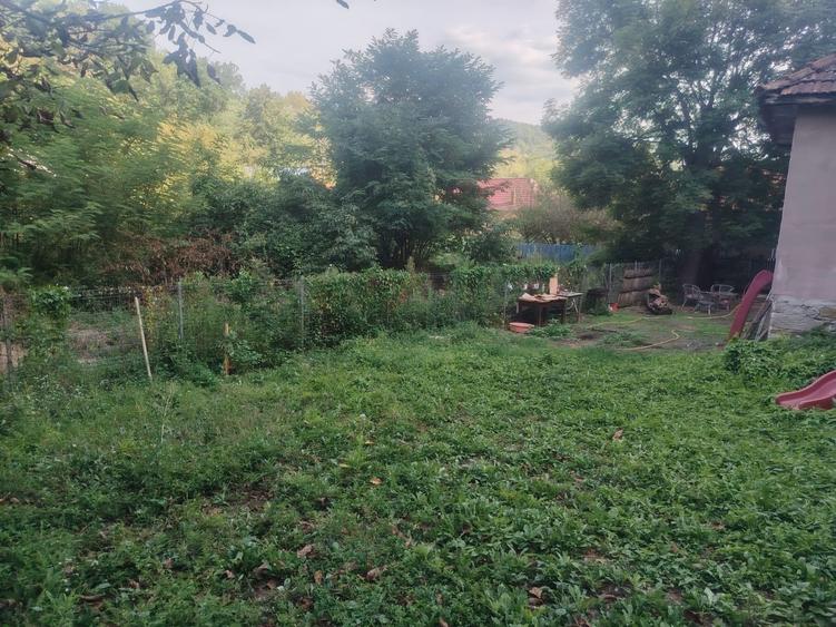 Casa  + Teren 4000 mp Urseiu - Dâmbovița 0% COMISION - 1