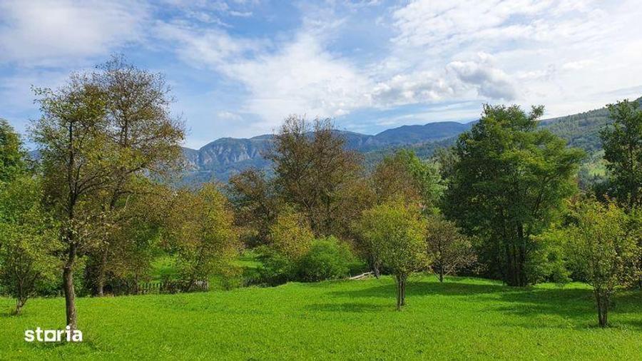 Vand teren superb la munte - 1