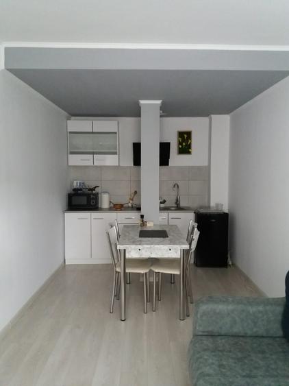 Vand apartament la munte - 2