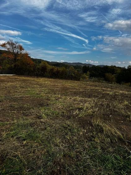 Vand 2 loturi de teren la Vladesti - 3