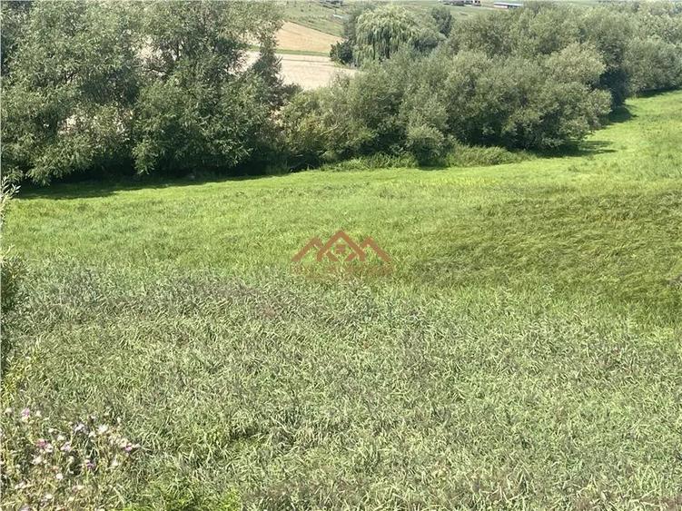 De Vanzare | Teren | Com. Moara | 8000mp - 1