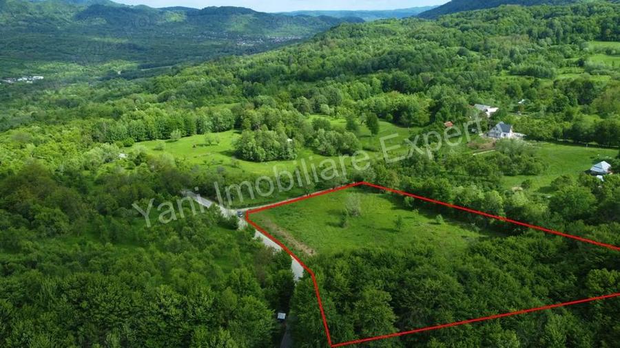 Teren de vanzare in comuna Corbi, jude? Arge?. - 10