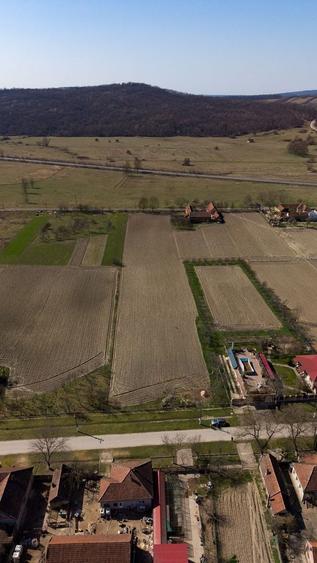 Loc de casă în Odvoș - Conop 3000mp - 26