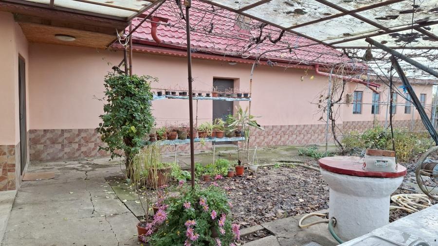 Movilita, Ialomita - 4