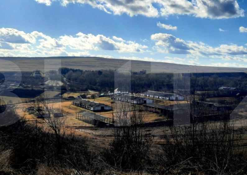 Ferma in intravilanul comunei Cojocna, 5 Ha cu hale - 9