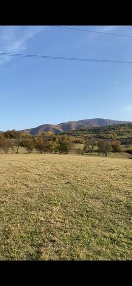 O oportunitate care îți atinge sufletul: Teren de vis la ieșirea din Rășinari - 4